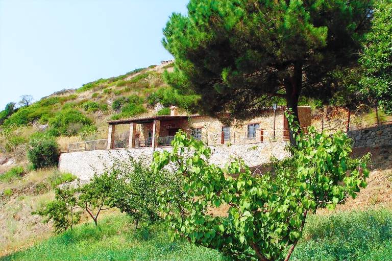 foto0