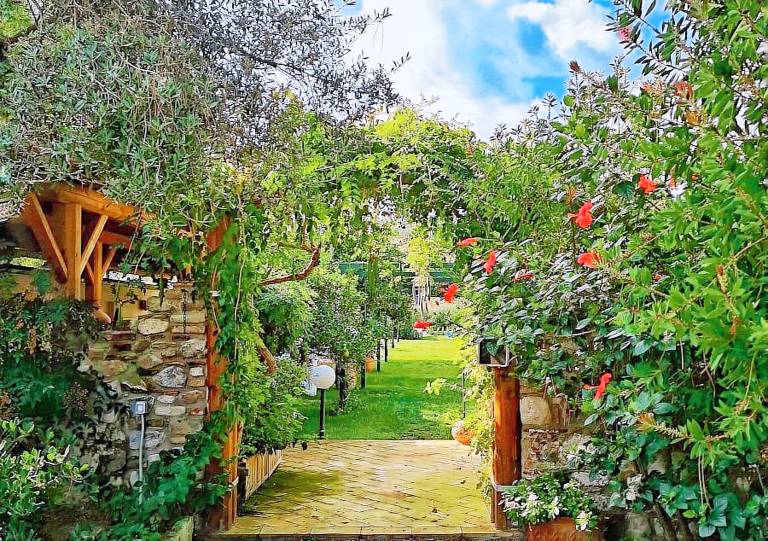 Giardino di Iti: Camera quadrupla — photo 2