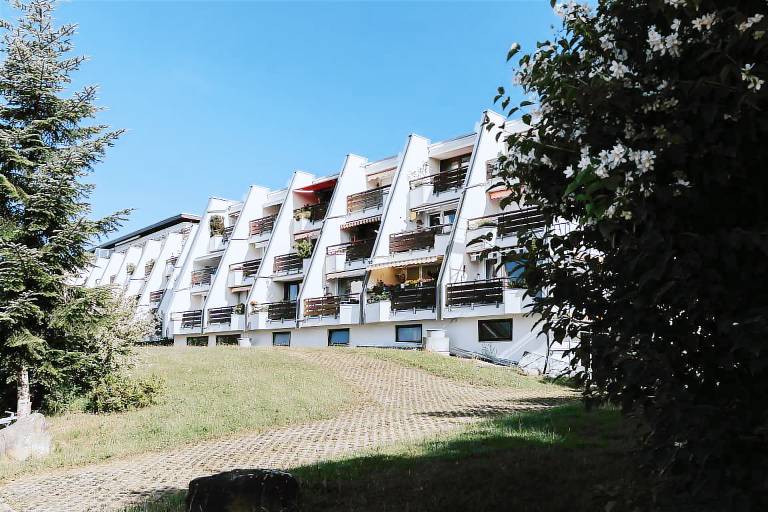 foto2