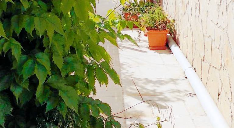 Holiday apartment with patio | Dogs allowed in Aegina