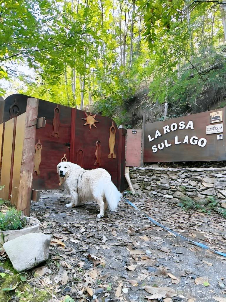 Children-friendly nice vacation home with barbecue, patio & sauna | Lake view | Suitable for remote work | Dogs allowed — photo 4