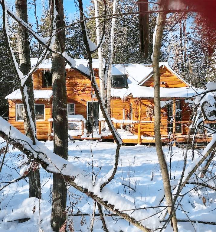 Cabin Georgina