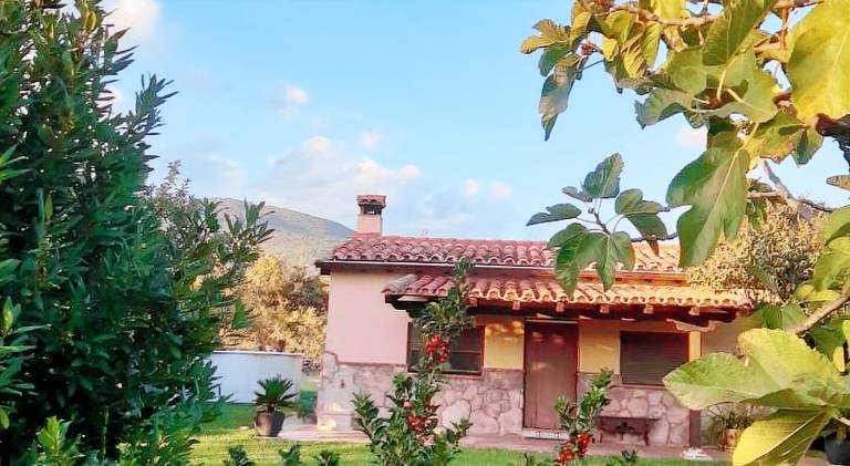House with pool | Pet-friendly in Ávila