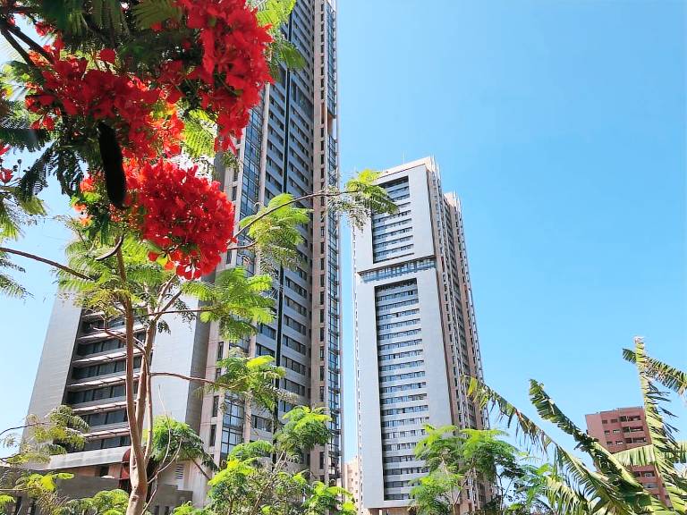 Appartement Santa Cruz de Tenerife