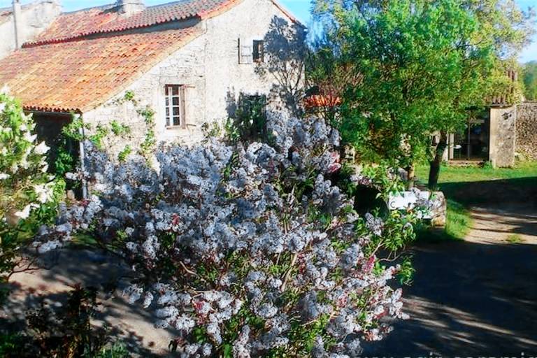Stone house in the heart of Larzac – Nature, free-roaming horses, and guaranteed relaxation — photo 2