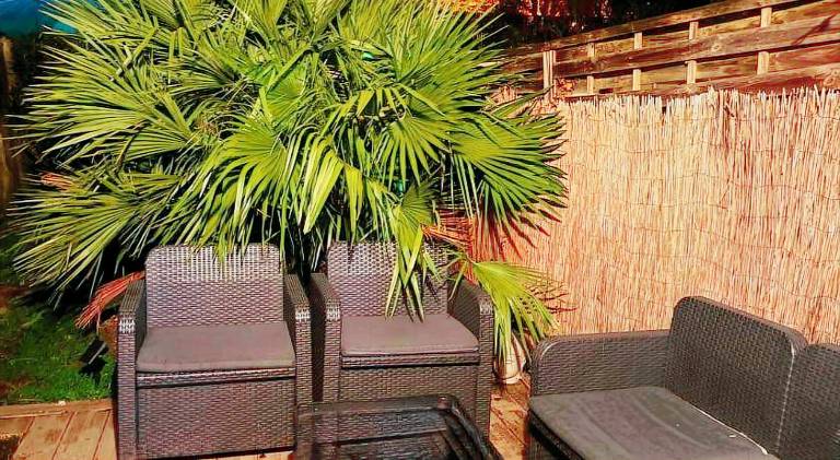 Pleasant rental apartment with private pool, garden & hot tub | Pets are welcome — photo 4