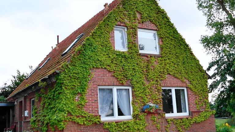 Ferienwohnung Schwanewede