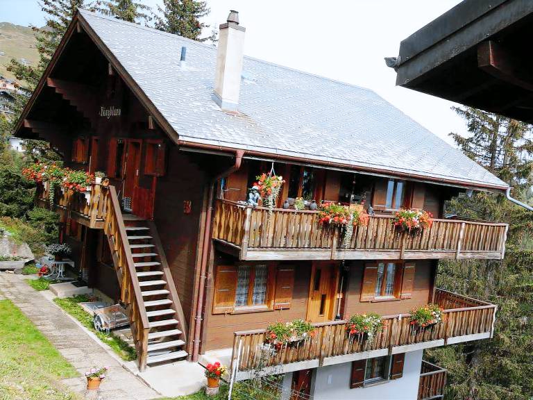 Ferienwohnung Bettmeralp