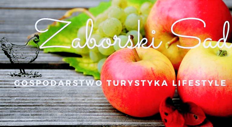 Agroturystyka Zabór
