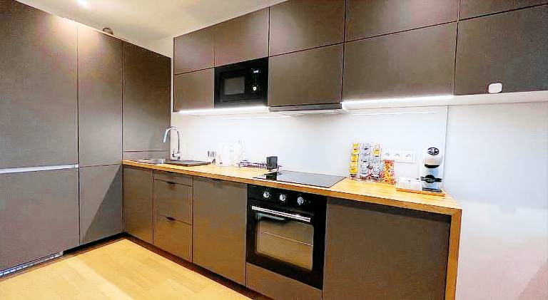 Brno City Center Apartment with parking and a big terrace — photo 4