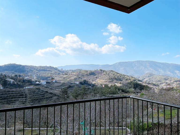 Villa with garden, BBQ & patio — photo 3