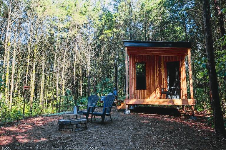 House  White Pine