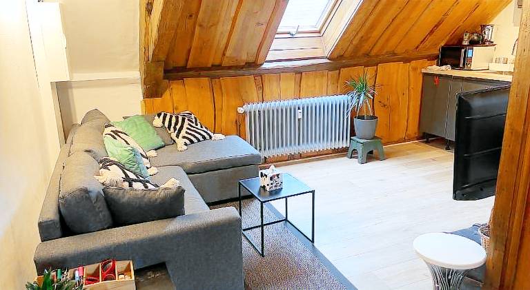 Apartment | Dogs allowed in Sélestat