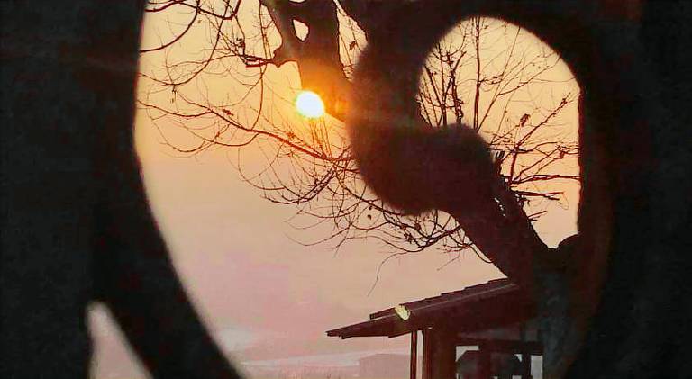 View & Wine — photo 3