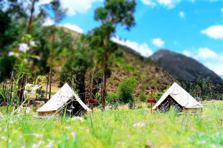 Glamping Eco Spirit — photo 3