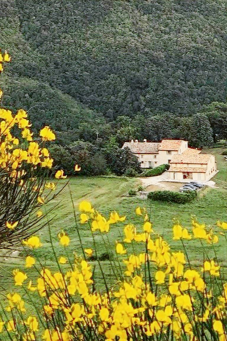 Holiday apartment with pool, barbecue & garden | Nature view — photo 2