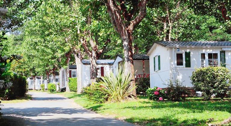 Camping ZELAIA in Bayonne
