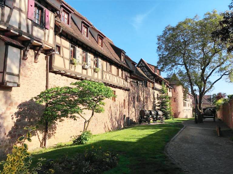 Appartement Riquewihr