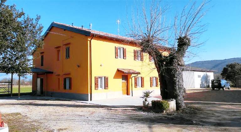 House | Dogs allowed in Gorizia