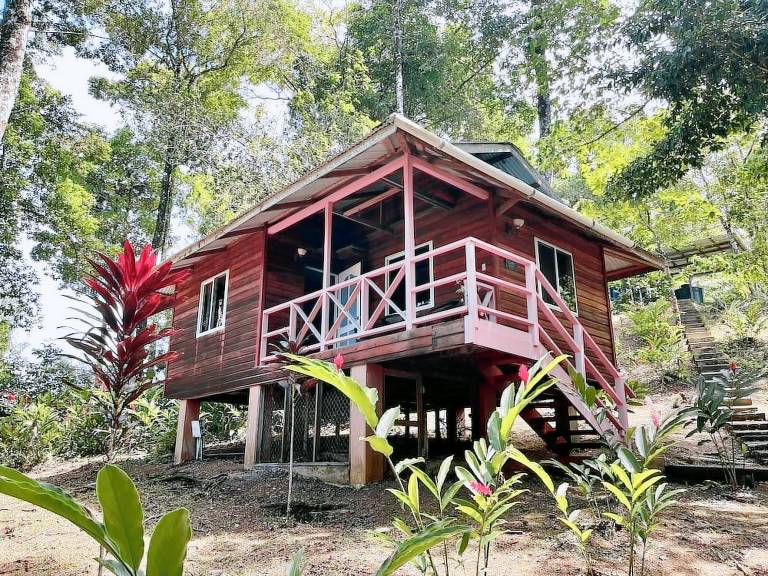 Bed and breakfast  Punta Laurel
