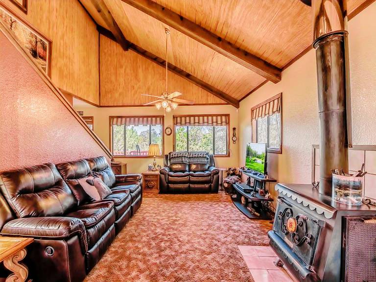 413MOCKINGBIRDMTNCB - Mockingbird Cabin — photo 5