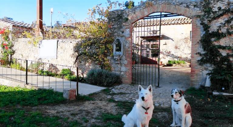 Mas Del Llop Blanc - Dog friendly Hostal Rural - B&B in L'Escala