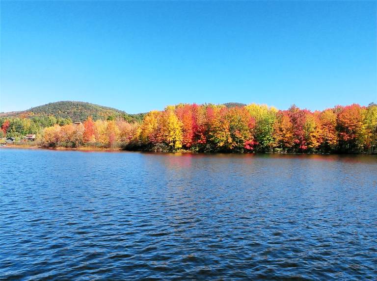 Cottage  Poultney