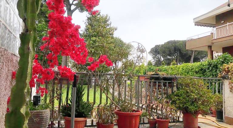 Rental apartment with terrace & yard in Latina