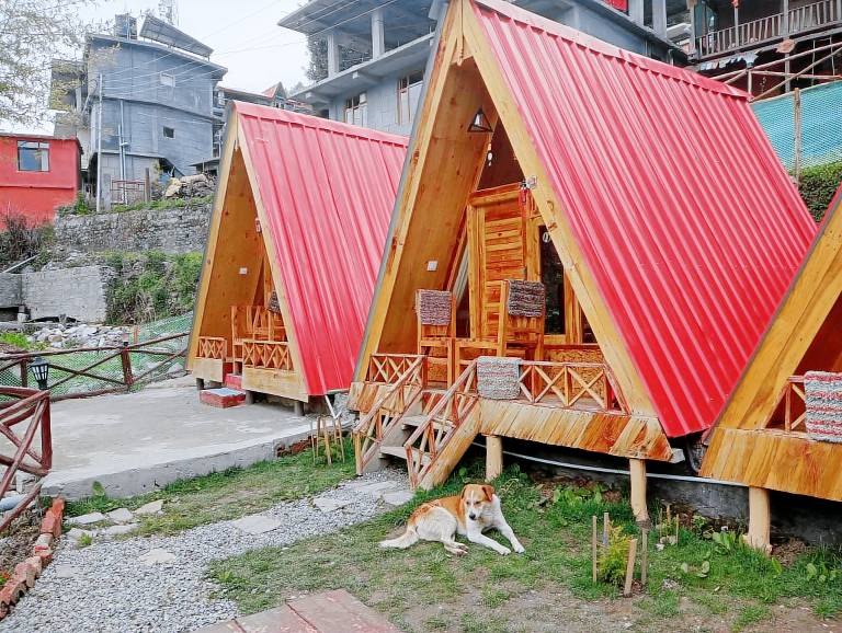 The bear huts — photo 3