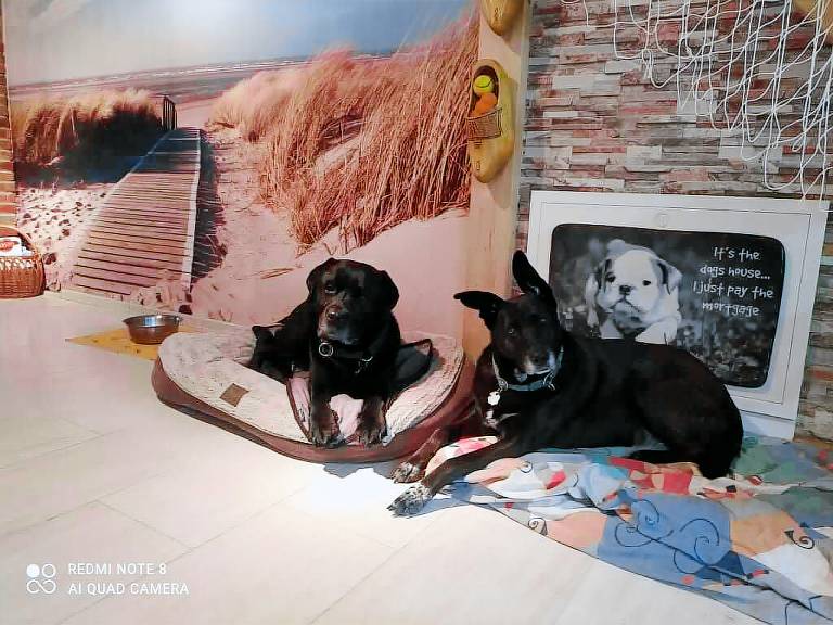 Ferienhaus ideal für 2 Personen mit Hunden