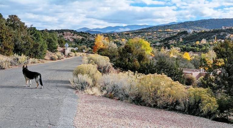 Apartment with patio & barbeque in Santa Fe
