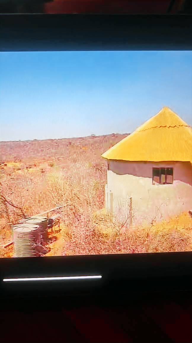 House  Livingstone