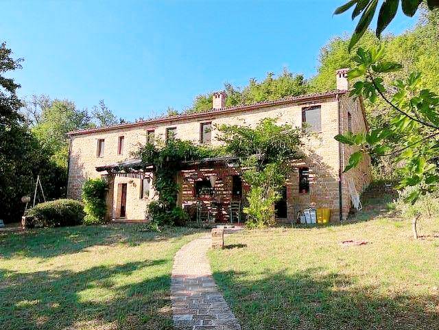 foto4