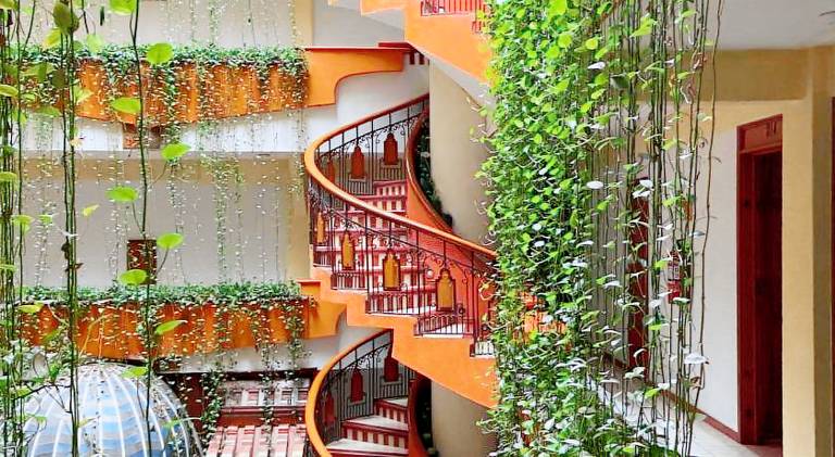 Hotel Baez Carrizal — photo 4
