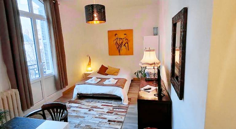 Wonderful rental apartment | Dogs allowed in Tours