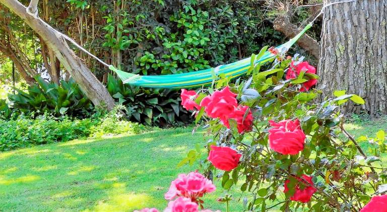 Rental apartment with 2 rooms for 8 persons in Imperia