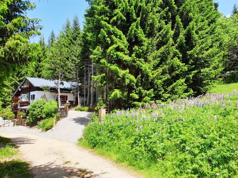 Fully equipped rental apartment with BBQ, terrace & yard | Nature view | Pets are welcome — photo 3
