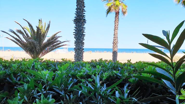 Appartement Canet-en-Roussillon