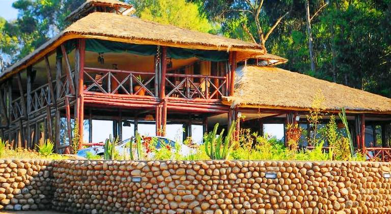 Da Vinci Gorilla Lodge — photo 4