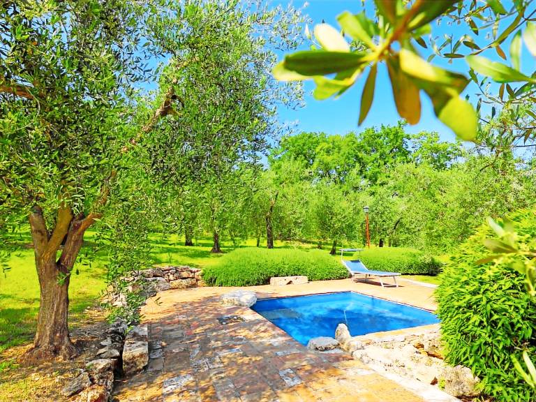 Vacation home with garden, BBQ & patio | Nature view | Pet-friendly — photo 3