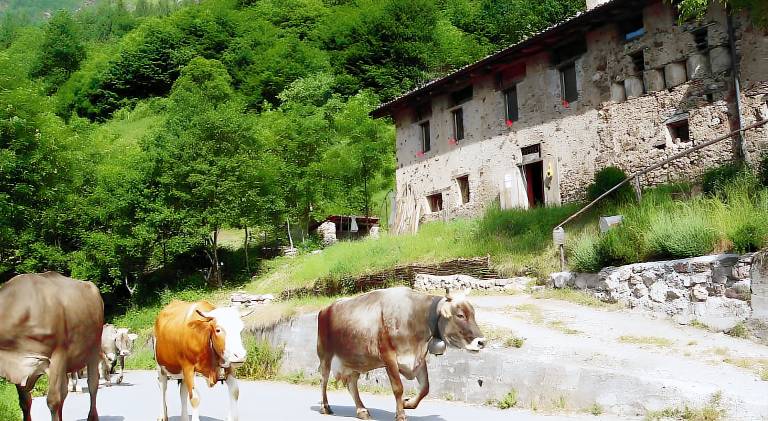 Appartamento Bagolino