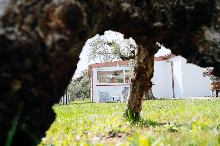 Agriturismo Country Casale Rufo: Camera Matrimoniale (2 adulti o 3 adulti) — photo 3