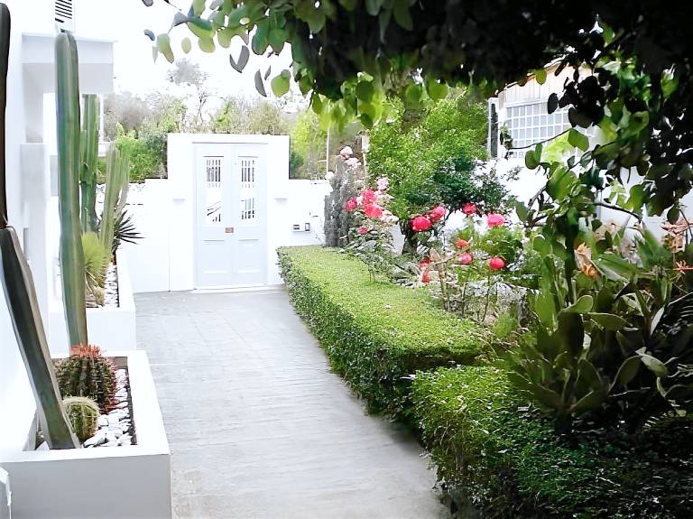 Appartamento con servizi da hotel Skiathos