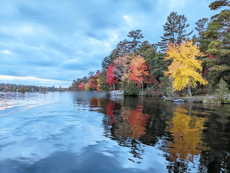 Cottage Buckhorn