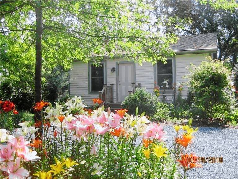 Cabin Edgewater