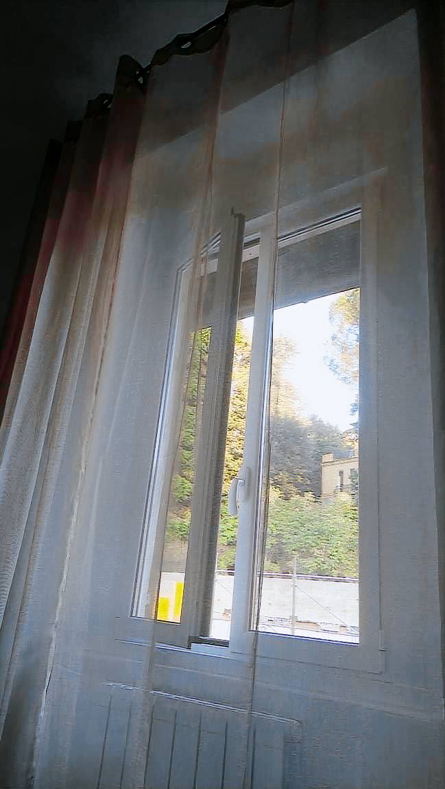 foto4