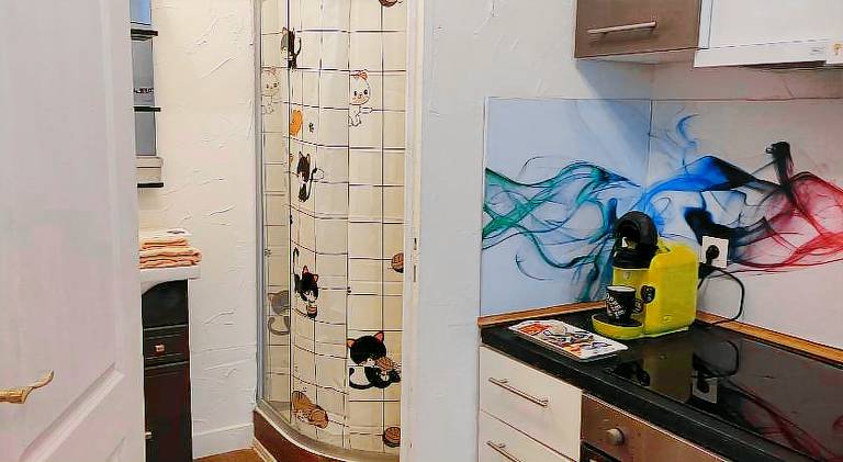 Rental apartment with 1 room for 3 persons — photo 4