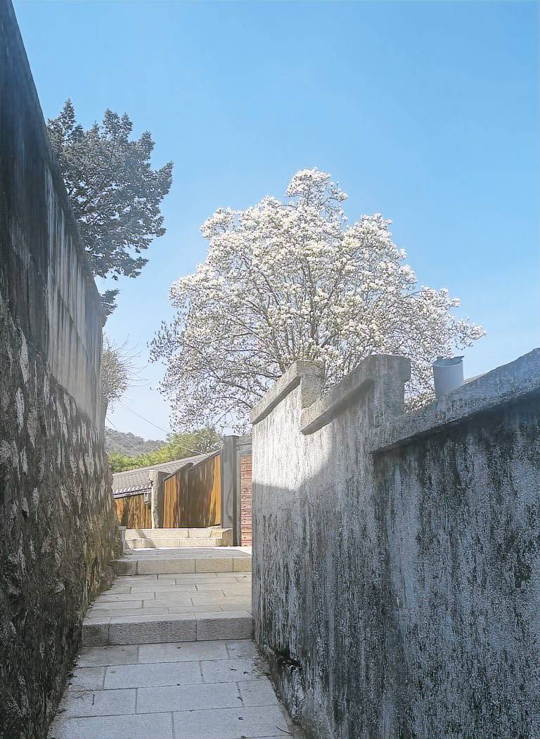 House Jongno-gu
