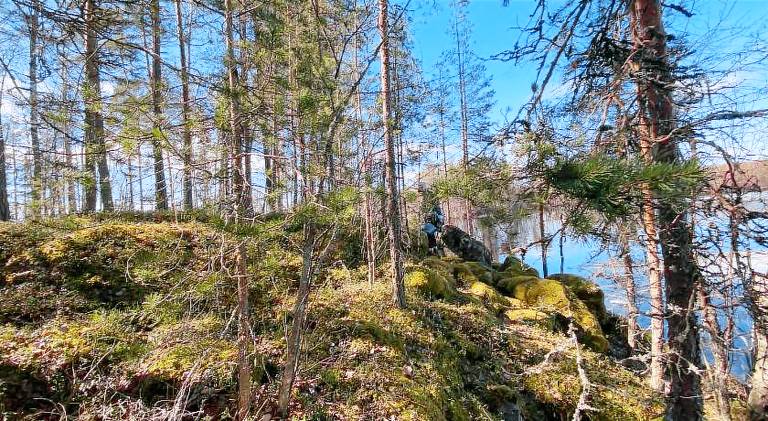 Lammassaari — photo 2