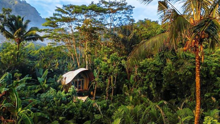 1BDR Bamboo House in Sidemen — photo 5